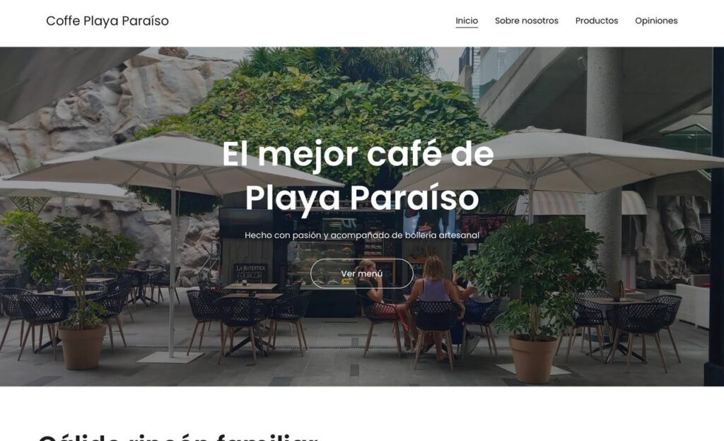 ¿Cuánto cuesta crear una página web profesional?