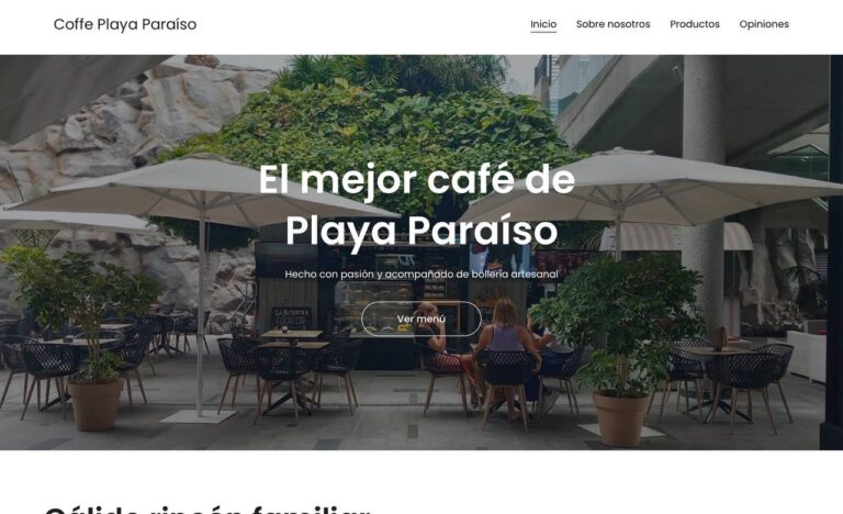 ¿Cuánto cuesta crear una página web profesional?